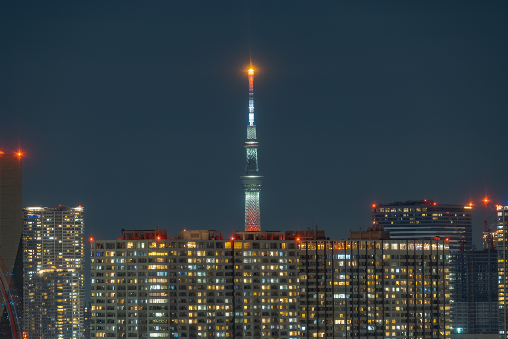テレコムセンターからのスカイツリー