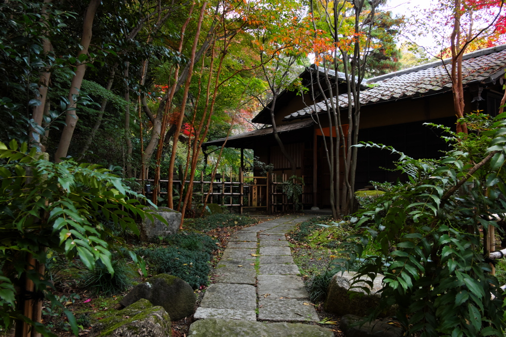 百草園1 by tamacco33 （ID：8285841） 写真共有サイトPHOTOHITO