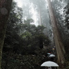 奈良trip4