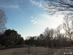 神代植物公園植物多様性センター