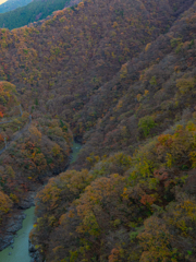 奥多摩の紅葉