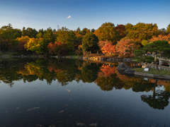 昭和記念公園日本庭園３