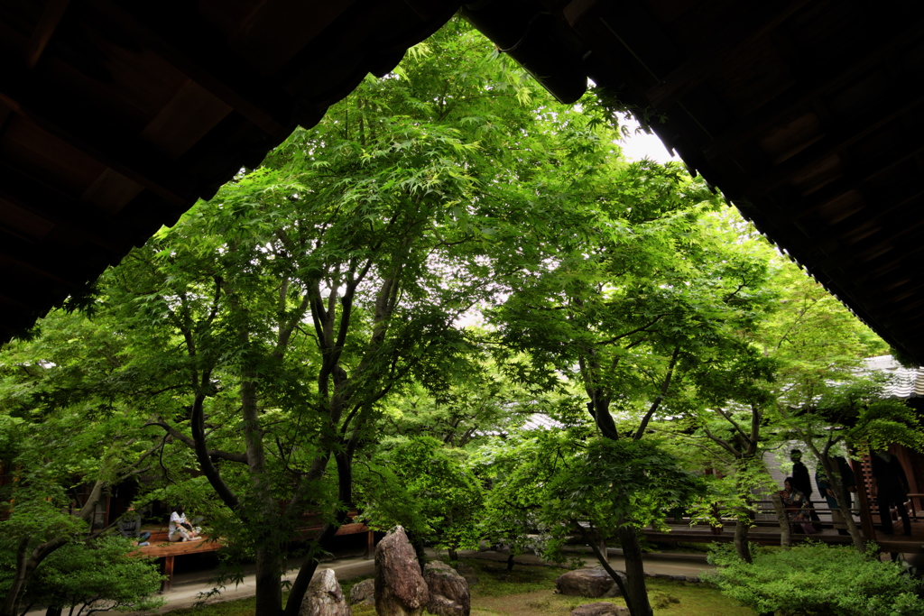 京都trip5