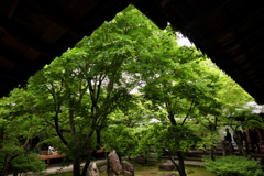 京都trip5