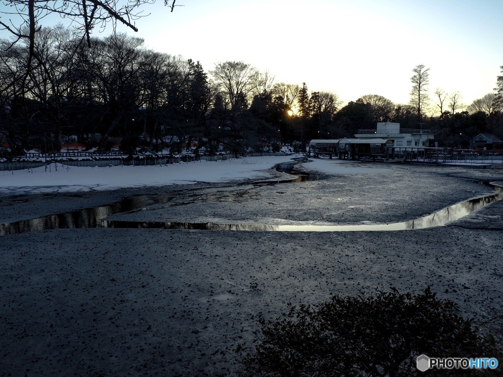 本日の井の頭公園3