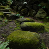 報国寺　苔まみれ石