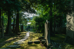 三囲神社の境内の庭園