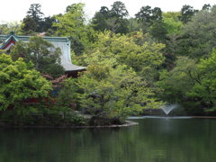 lushly green