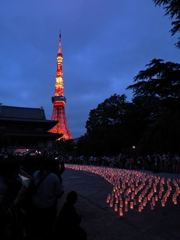 増上寺七夕まつりキャンドルライトアップ