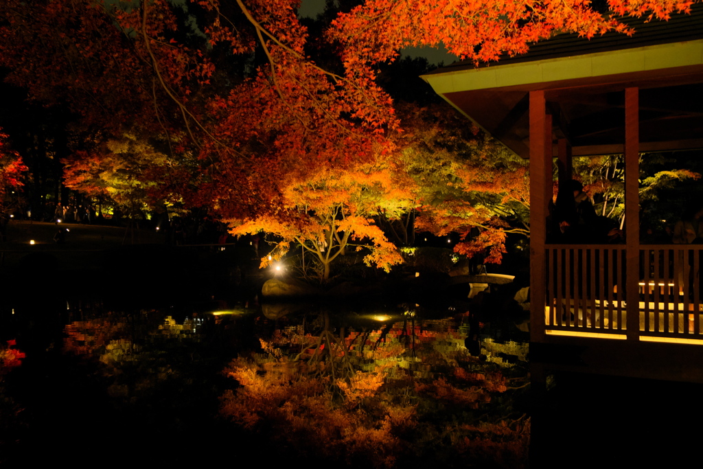 大田黒公園3