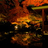 大田黒公園3