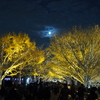 昭和記念公園の立川口のライトアップ