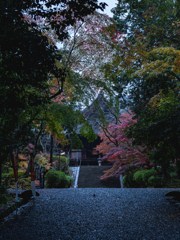 三井寺の紅葉