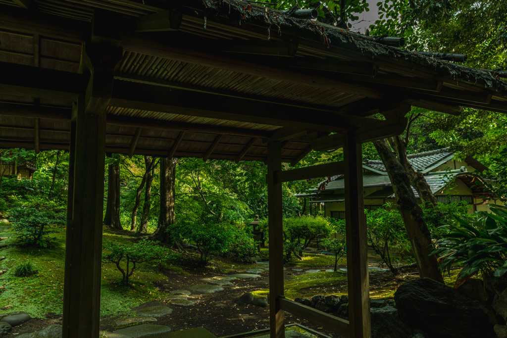 旧古河庭園・日本庭園３
