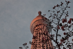 夕暮れ時のスカイツリー