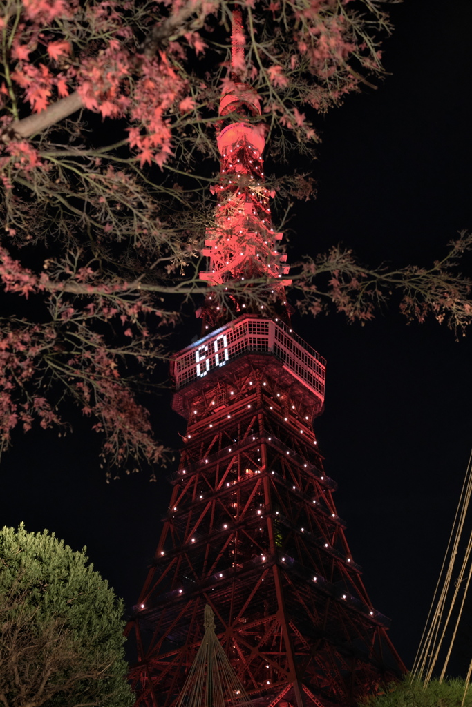 還暦の東京タワー