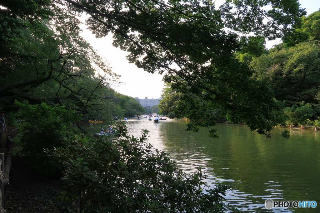 井の頭公園 公園