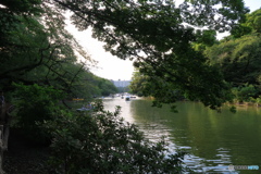 井の頭公園 公園