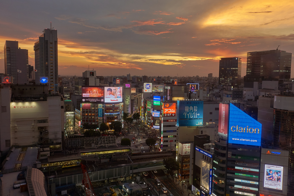 渋谷ヒカリエからの展望