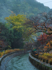 雨の山科疏水