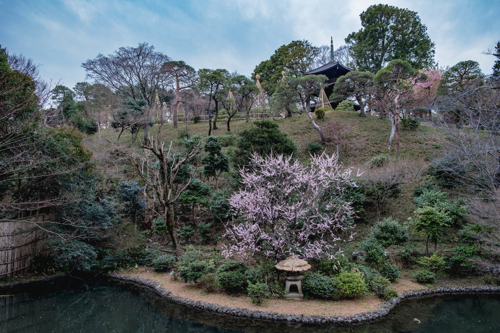 椿山荘の庭園