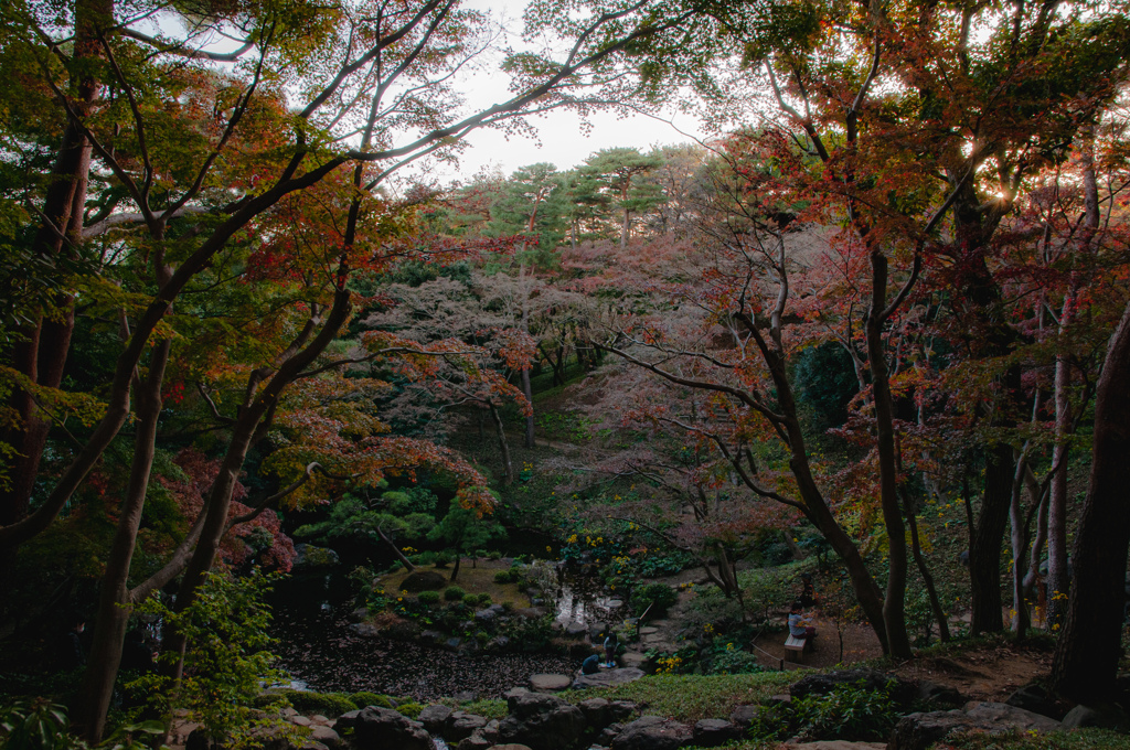 紅葉の穴場