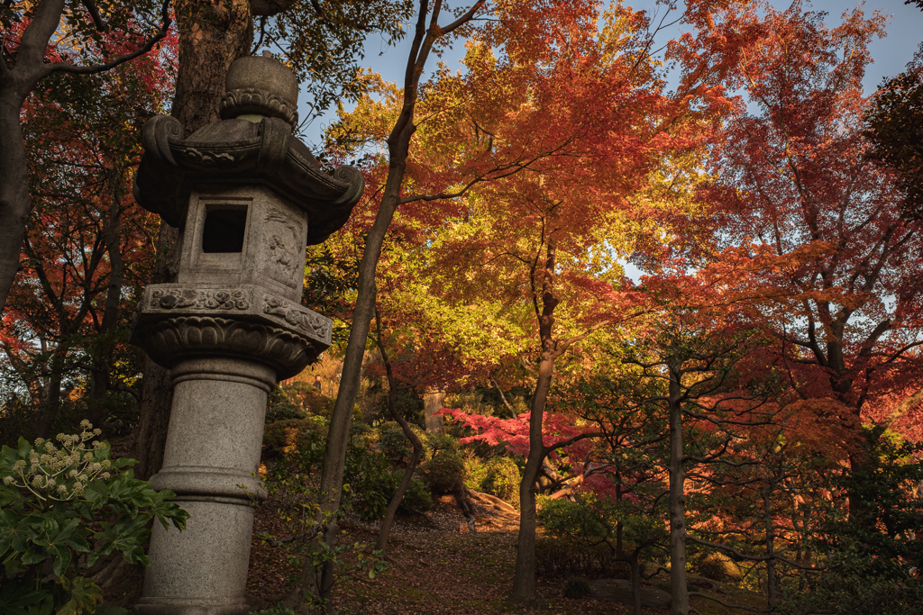 旧古河庭園２