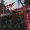 薬王院権現社に向かう階段