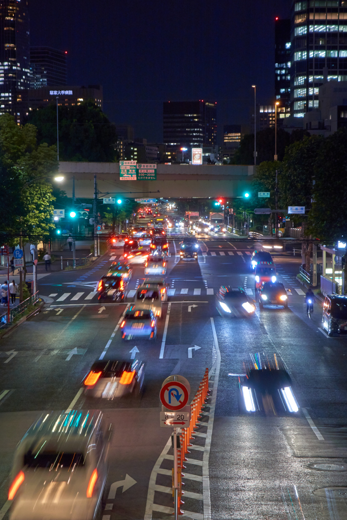日比谷通りの歩道橋から芝園橋を臨む