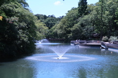 初夏の井の頭公園