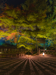 嵐山・宝厳院のライトアップ