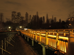 本日の七井橋