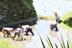 村人の結