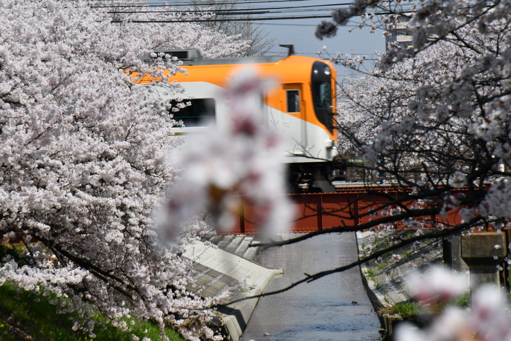 心地よく通過の特急