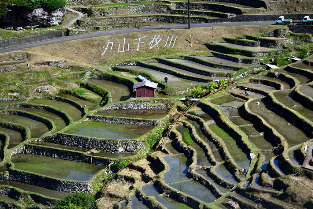 丸山千枚田文字も鮮明