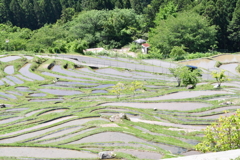 最上部から大石西方向