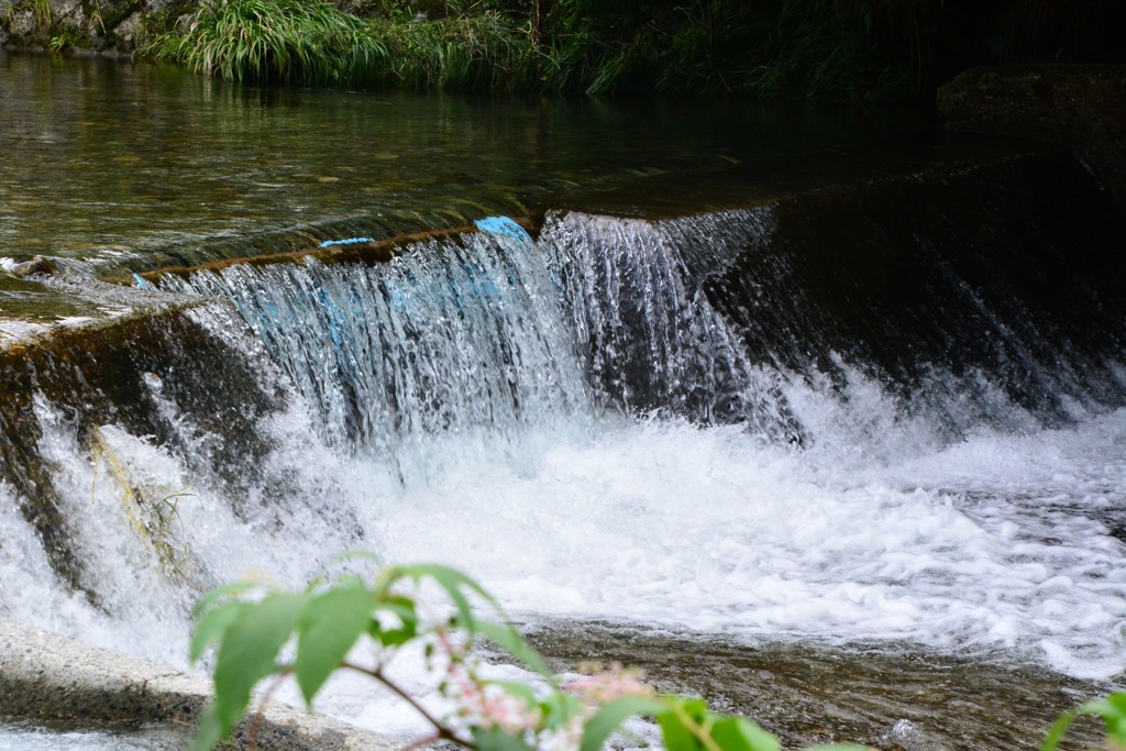 清流清涼