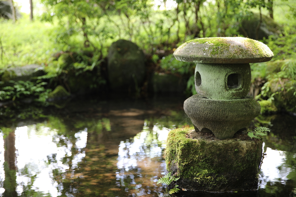 涼しい場所