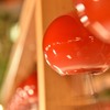 ゆれるりんご飴（風鈴）