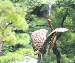 今日も元気に