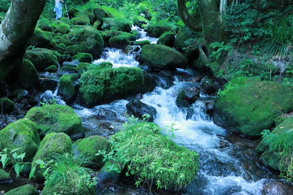 奥大山の水