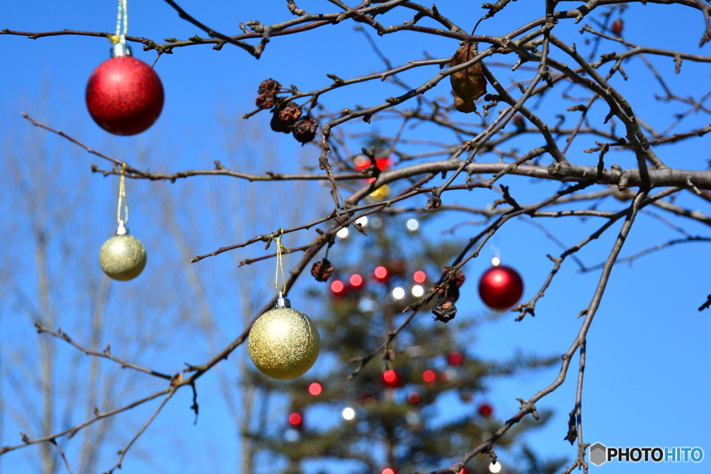 寒空のメリークリスマス