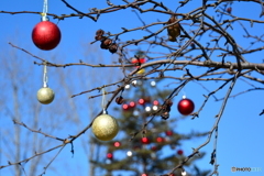 寒空のメリークリスマス