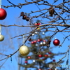 寒空のメリークリスマス