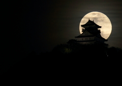 岐阜城と朧月