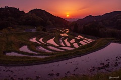 鴨川市 大山千枚田