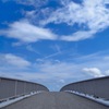 中の島大橋