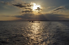 東京湾フェリーからの夕景