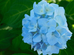DSCN0057