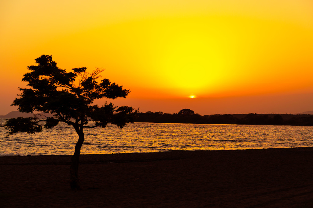 猪苗代湖の夕日